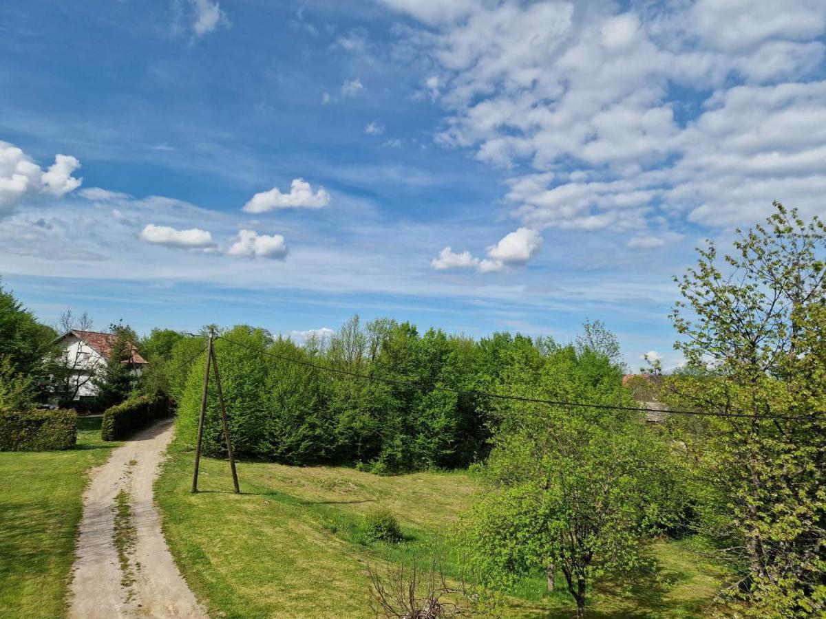 Hotel Sobe I Apartman Vuk Čatrnja Exteriér fotografie