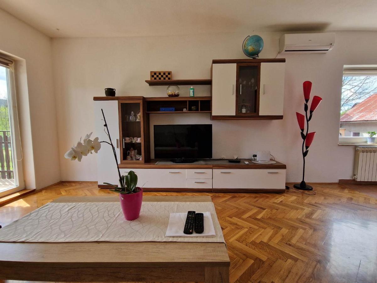 Hotel Sobe I Apartman Vuk Čatrnja Exteriér fotografie